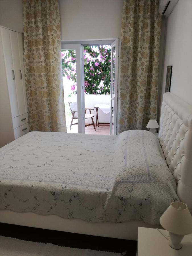 Apartmani Mladina 젤사 외부 사진