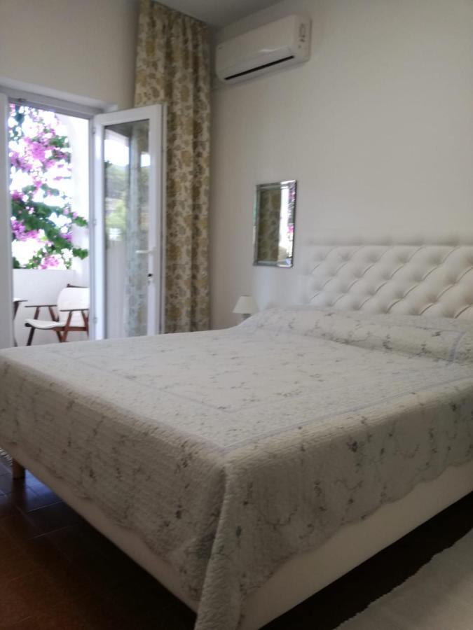 Apartmani Mladina 젤사 외부 사진